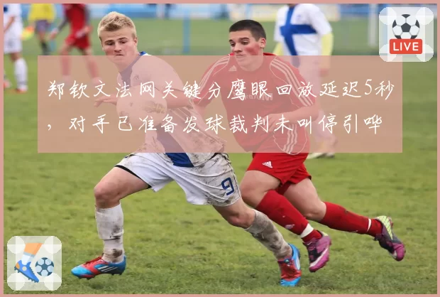 郑钦文法网关键分鹰眼回放延迟5秒,对手已准备发球裁判未叫停引哗然