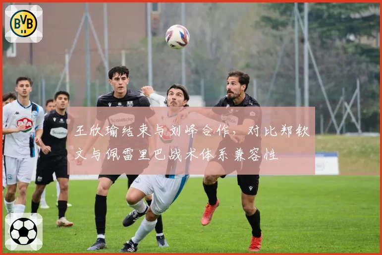 王欣瑜结束与刘峰合作,对比郑钦文与佩雷里巴战术体系兼容性